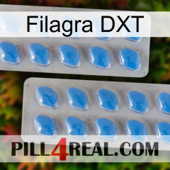 Filagra DXT 23